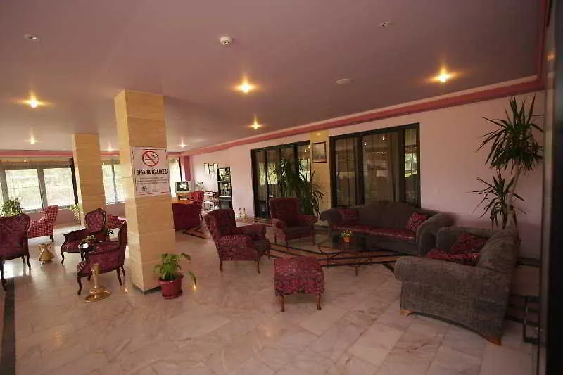 Hotel Pelin 费特希耶